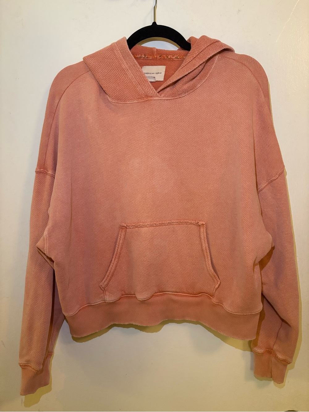 American Eagle Outfitters Dusty Pink Cropped Hoodie